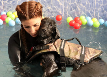 Şiddet mağduru köpek, hidroterapiyle sağlığına kavuştu