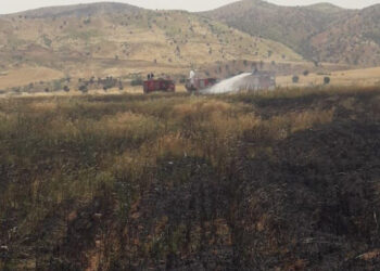 Şırnak'ta 200 dönüm ekili buğday yandı