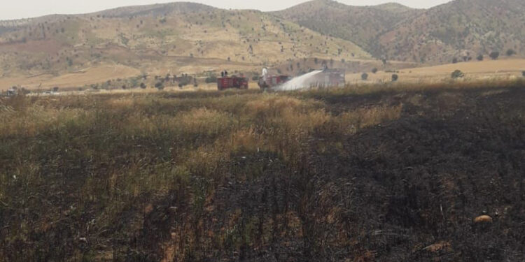 Şırnak'ta 200 dönüm ekili buğday yandı