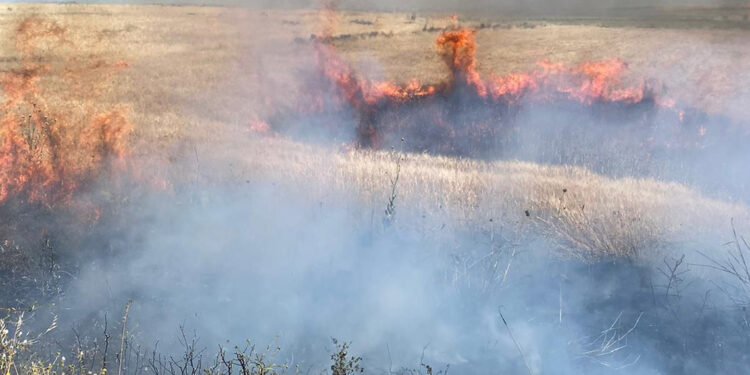 Şırnak'ta 60 dönüm buğday ekili alan yandı