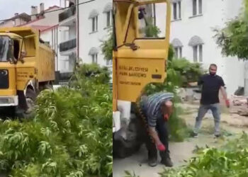 Sivas'ta kuvvetli rüzgarda ağaçlar devrildi