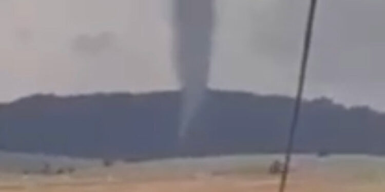 Sivas'ta, ormanda ağaçların devrildiği hortum kamerada