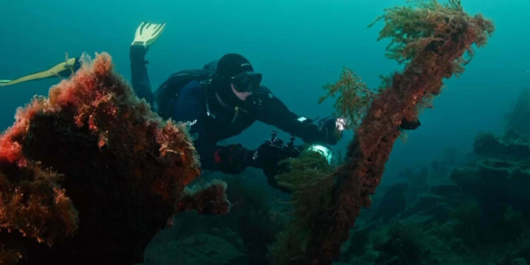 Su altı fotoğrafçısı Dawson, 109 yıllık batıkları fotoğrafladı
