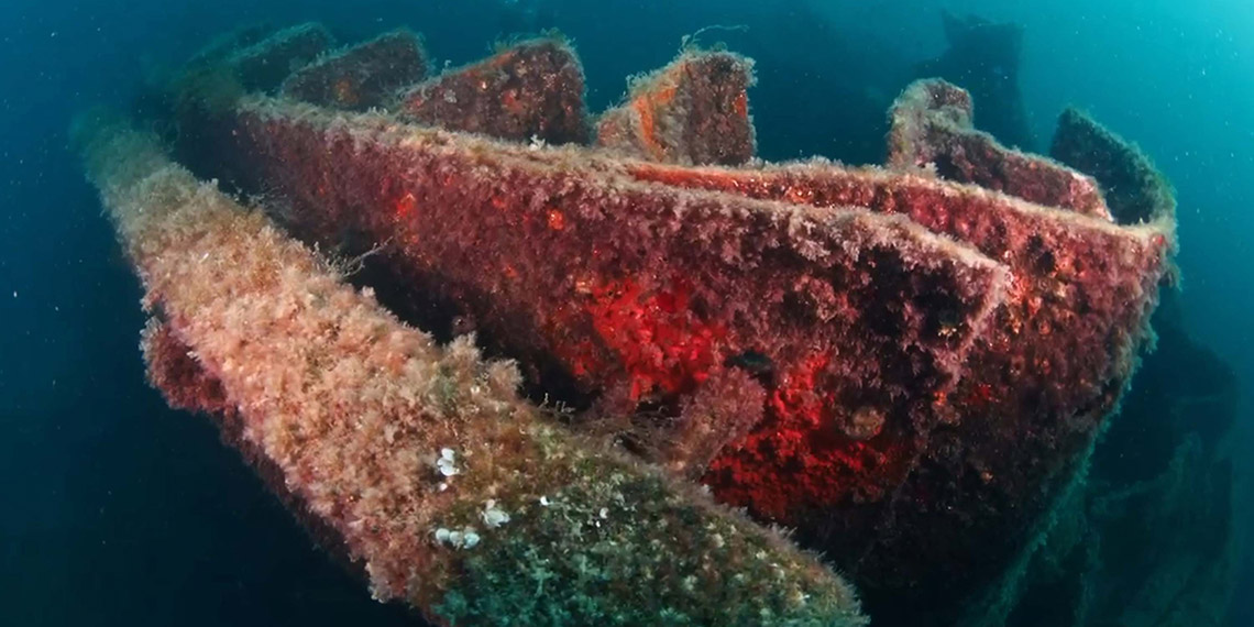 Su altı fotoğrafçısı Dawson, 109 yıllık batıkları fotoğrafladı