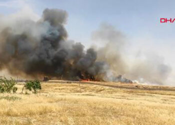 Suriye'de çıkan ot yangını, Nusaybin’den görüntülendi
