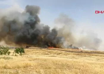 Suriye'de çıkan ot yangını, nusaybin’den görüntülendi