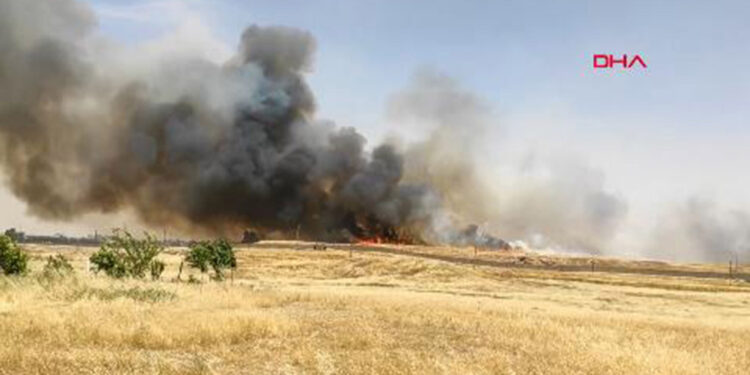 Suriye'de çıkan ot yangını, Nusaybin’den görüntülendi
