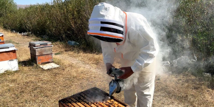 Türkiye Arıcılık Haritası güncellendi