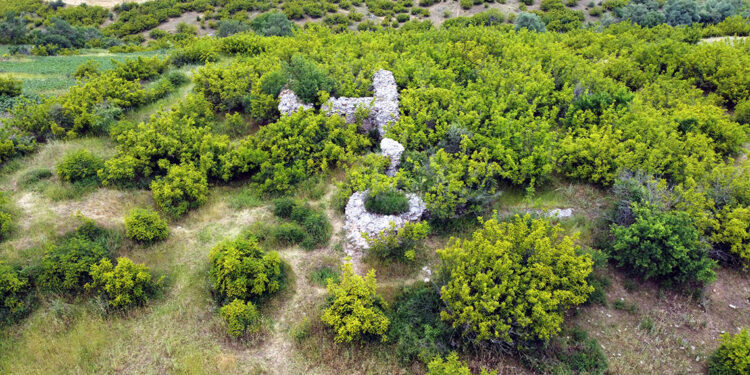 Tarihi gözetleme kuleleri yok olma tehlikesiyle karşı karşıya