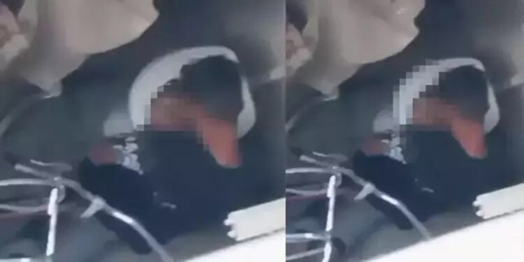 Tavuğa cinsel istismar şüphelisi tutuklandı