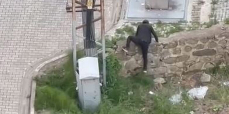 Tekmelediği kediyi ezerek öldürüp fırlattı