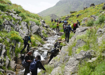 Ters laleleri görmek için Mardin'den gelip, 7 kilometre yürüdüler