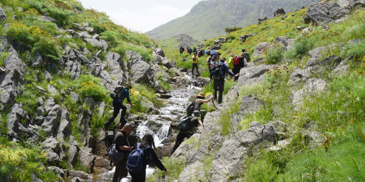 Ters laleleri görmek için Mardin'den gelip, 7 kilometre yürüdüler