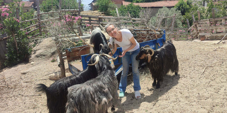 Tilki öldürdüğünü ihbar eden komşuya darp iddiası