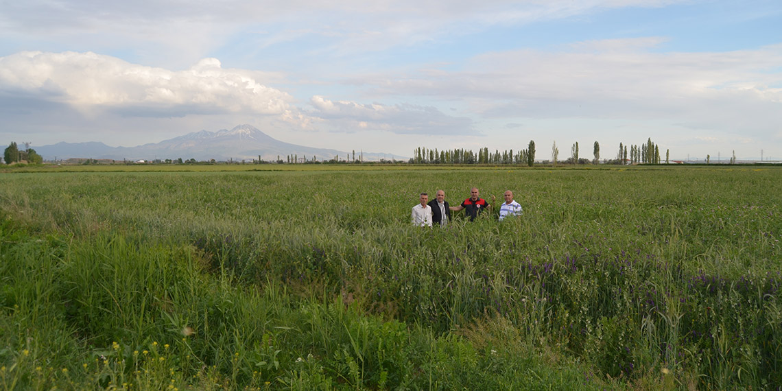 Tuz Gölü Havzası'ndaki çiftçiler, karışım ekimine yöneldi
