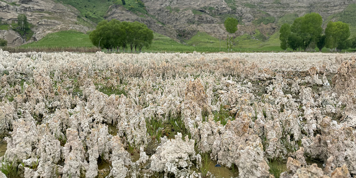 Türkiye'nin tek sodalı gölü olma özelliği taşıyan Van Gölü, son yıllarda sularının çekilmesiyle gündeme geliyor. Her yıl biraz daha çekilen Van Gölü sahilleri mikrobiyalit tarlasına döndü.