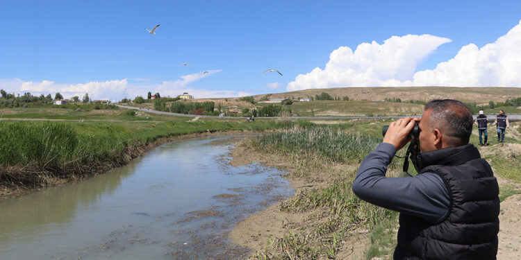 Van Gölü'nde kaçak avcılara yönelik denetimler sürüyor