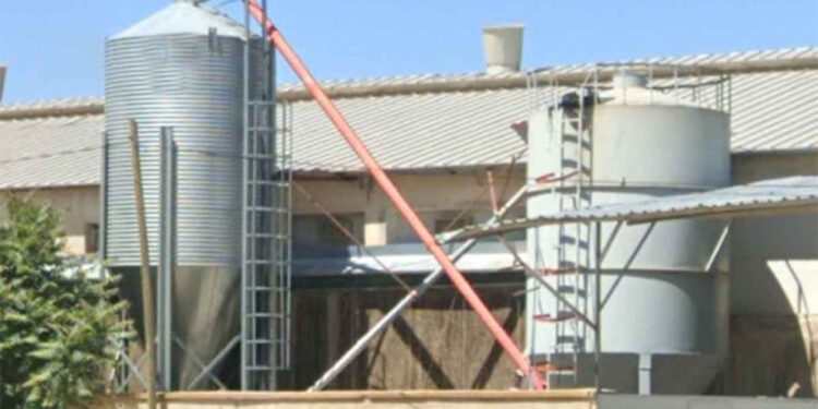 Yem hazırlama ünitesine düşen işçi öldü