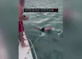 Yeni zelanda’da katil balinanın üzerine atlayan adama ceza
