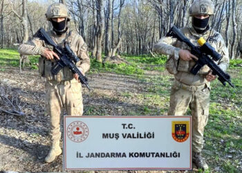 Bozdoğan-37 operasyonlarında 92 mağara imha edildi