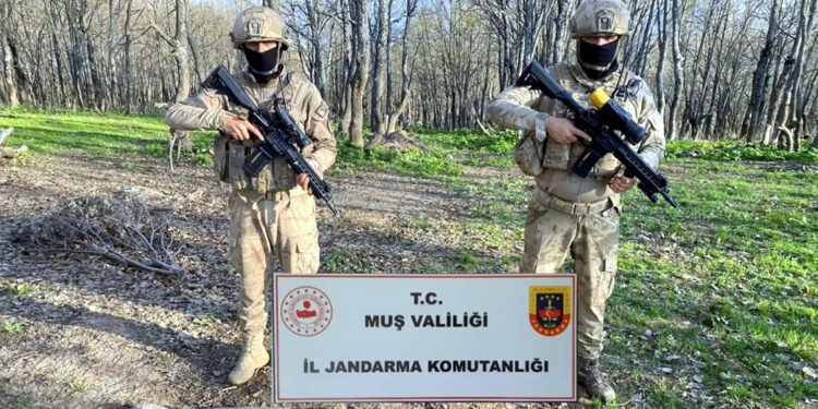 Bozdoğan-37 operasyonlarında 92 mağara imha edildi