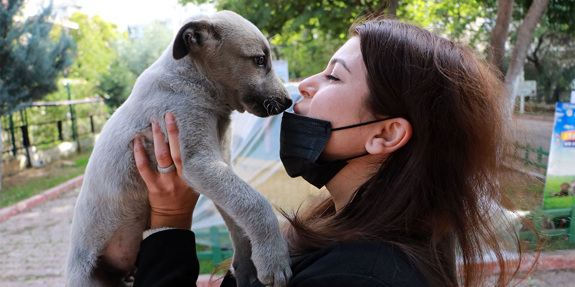 Adana Veteriner Hekimler Odası Başkanı Nihat Köse, "Sokak köpeklerini uyutmak değil, kısırlaştırmak sorunu çözer" dedi.
