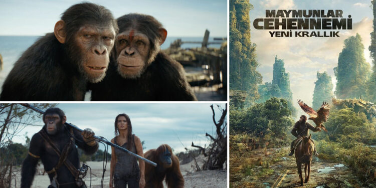 Vizyondaki filmler 10-17 Mayıs 2024