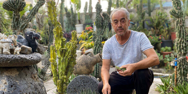 13 yaşındayken başlayan hobisiyle evini kaktüs bahçesine çevirdi