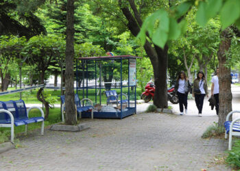 2023 Yeşil Üniversite Endeksi'nde, 6 Türk üniversitesi yer aldı