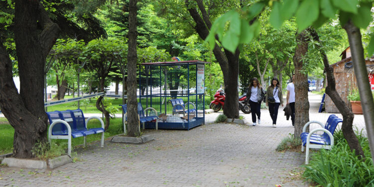 2023 Yeşil Üniversite Endeksi'nde, 6 Türk üniversitesi yer aldı