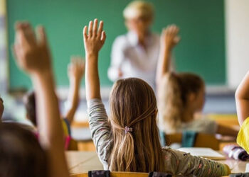 2024 MEB müfredatı incelenmesi