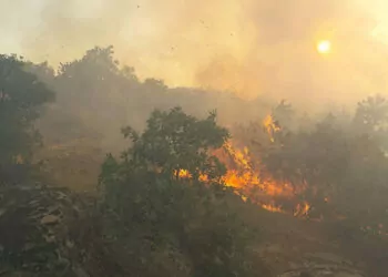 Manisa'daki yangın 12 saatte söndürüldü