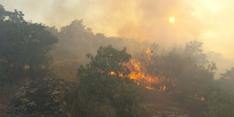 Manisa'daki yangın 12 saatte söndürüldü