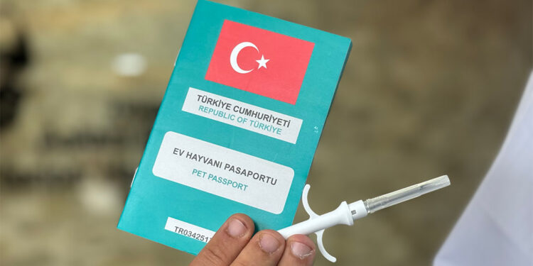 Kimliklendirilen köpek sayısı 934 bin 799'a ulaştı