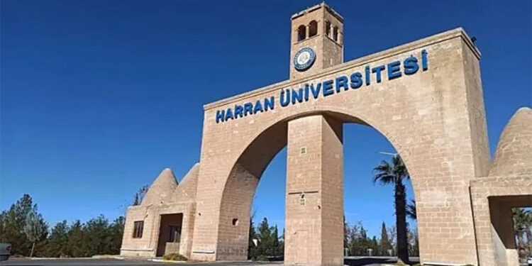 Harran Üniversitesi'nde köpeğe istismar