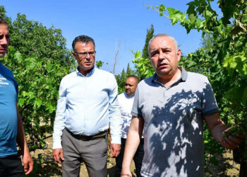 Alaşehir'deki dolunun bilançosu ağır