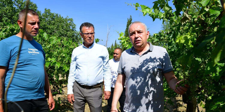 Alaşehir'deki dolunun bilançosu ağır