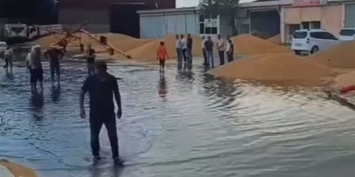 Mardin ve Batman'da kuvvetli fırtına etkili oldu, fırtına hayatı olumsuz etkiledi, birçok yerde ağaçlar devrildi.