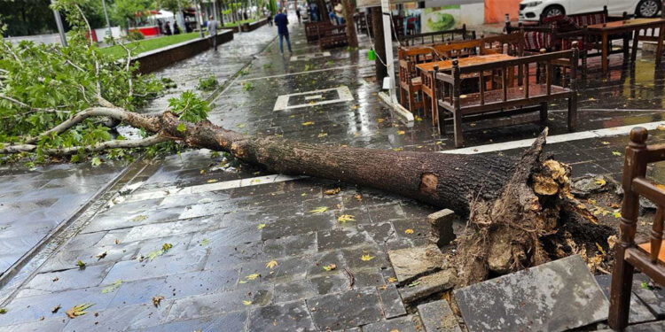 Mardin ve Batman'da kuvvetli fırtına