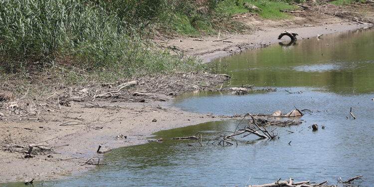Büyük Menderes Nehri kuraklıkla karşı karşıya