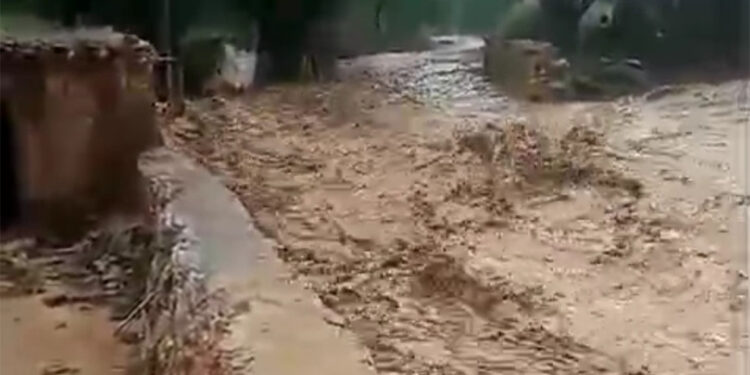 Van'da sağanak yağış, sele neden oldu