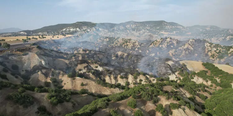 Kula'da arazide çıkan yangın ormanı yaktı