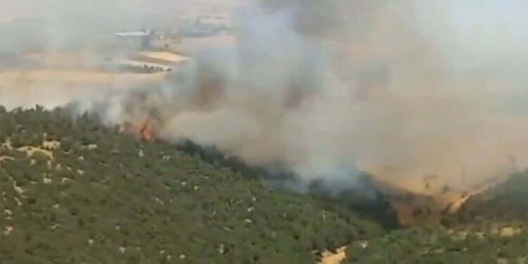 Manisa'nın Kula ilçesinde orman yangını