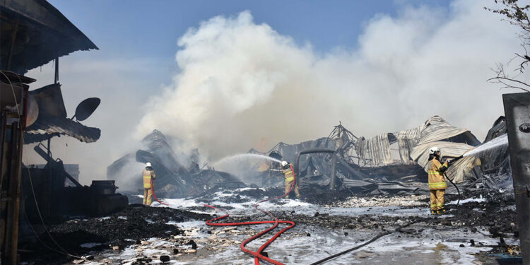 İzmir'in Bornova ilçesinde ormanda yangın