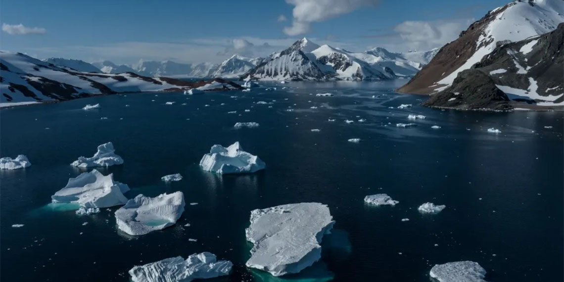 Antarktika'yı deneyimleyen RTEÜ Su Ürünleri Fakültesi Öğretim Üyesi Prof. Dr. Ertuğrul Ağırbaş'dan 'turistik gezi tehlikesi'ne vurgu.