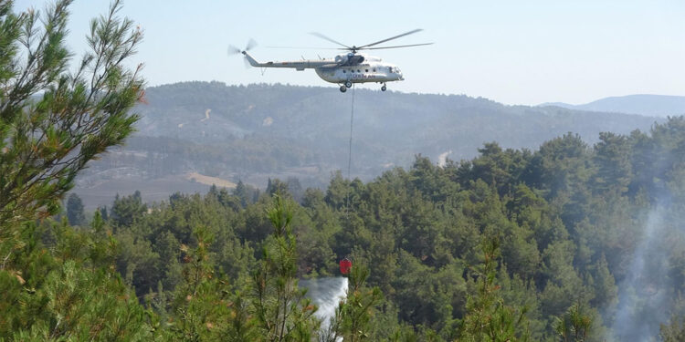 Elazığ'ın Maden ilçesinde orman yangını