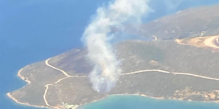 Urla'daki orman yangını kontrol altına alındı