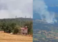 Adana'da anız yakımı sonrası alevler ormana sıçradı