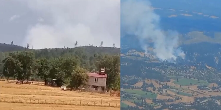 Adana'da anız yakımı sonrası alevler ormana sıçradı