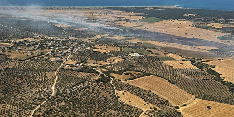 Ezine ilçesinde tarım arazisinde yangın